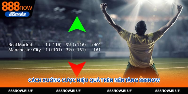 Cách xuống cược hiệu quả trên nền tảng 888Now